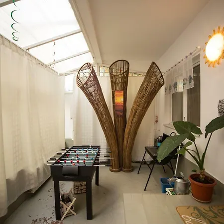 Duplex Nordului